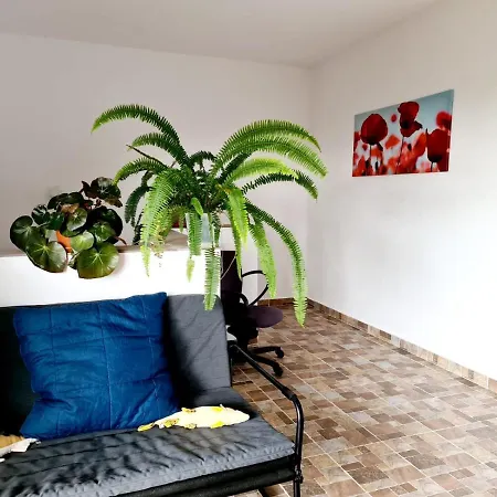 Casa Arina Vila *