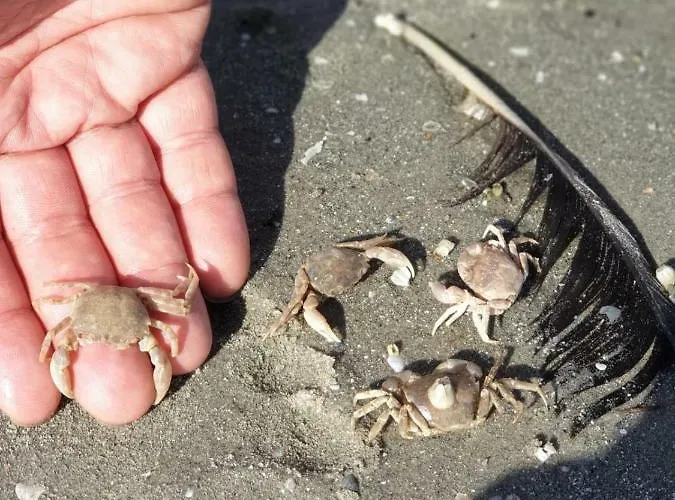 וילה Casa Arina סולינה